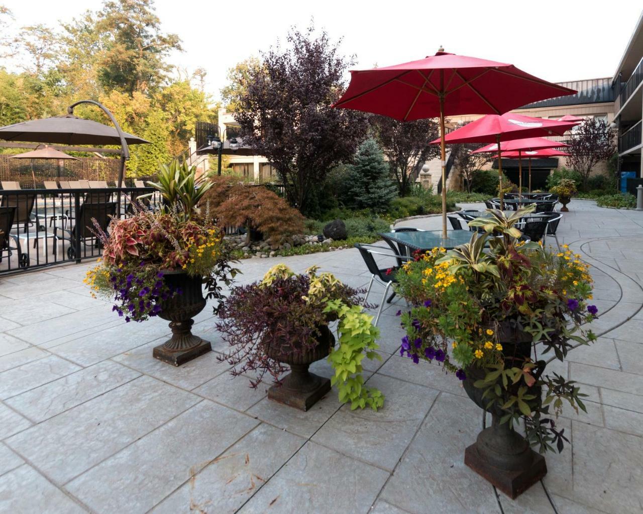 New Hope Inn & Suites Zewnętrze zdjęcie